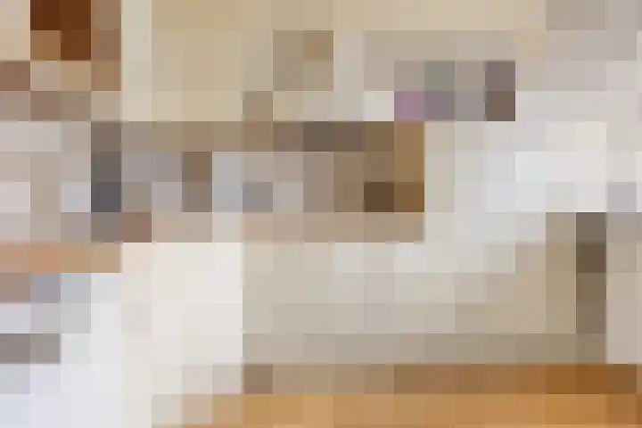 Kotterlaan 4 Helmond thumbnail 8