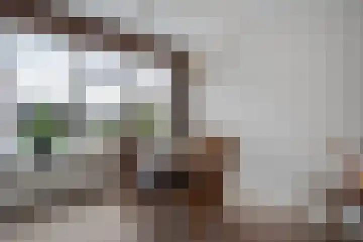 Kötterskamp 24 Daarle thumbnail 20