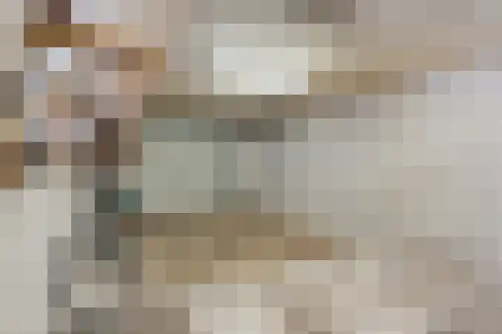 Kötterskamp 24 Daarle thumbnail 25