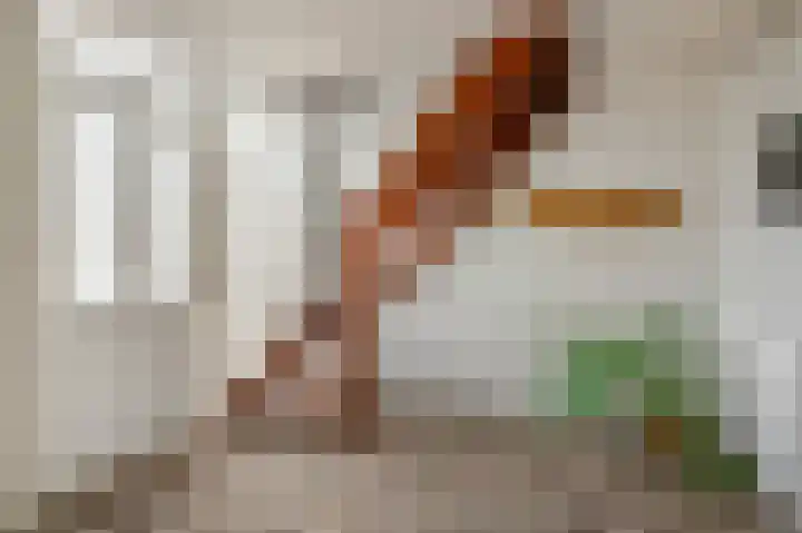 Kötterskamp 24 Daarle thumbnail 42