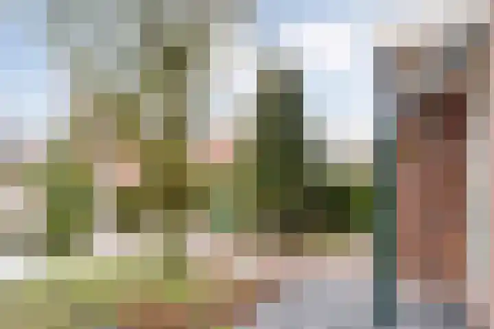 Kötterskamp 24 Daarle thumbnail 5