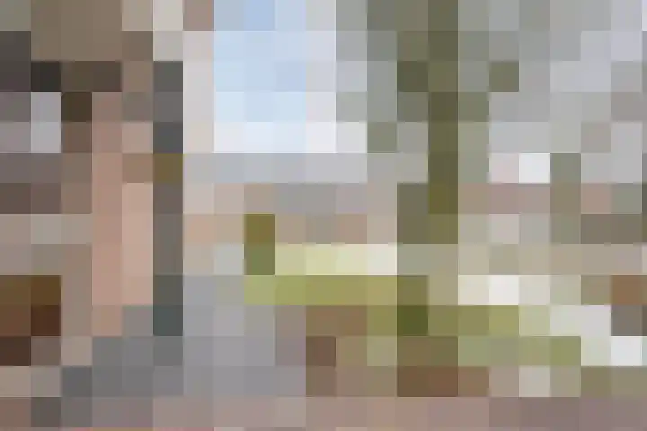 Kötterskamp 24 Daarle thumbnail 6