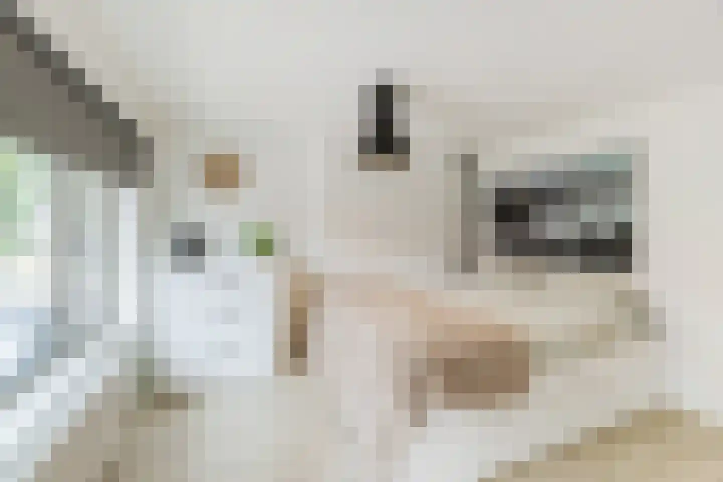 Kotterstraat 32 Tilburg thumbnail 15