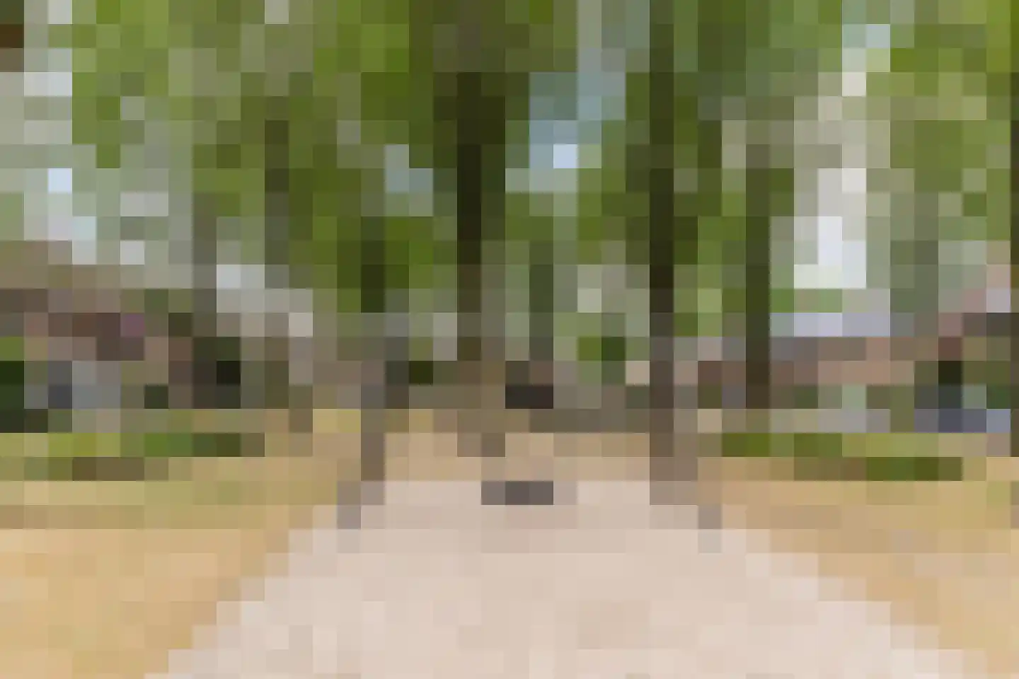 Kotterstraat 32 Tilburg thumbnail 34