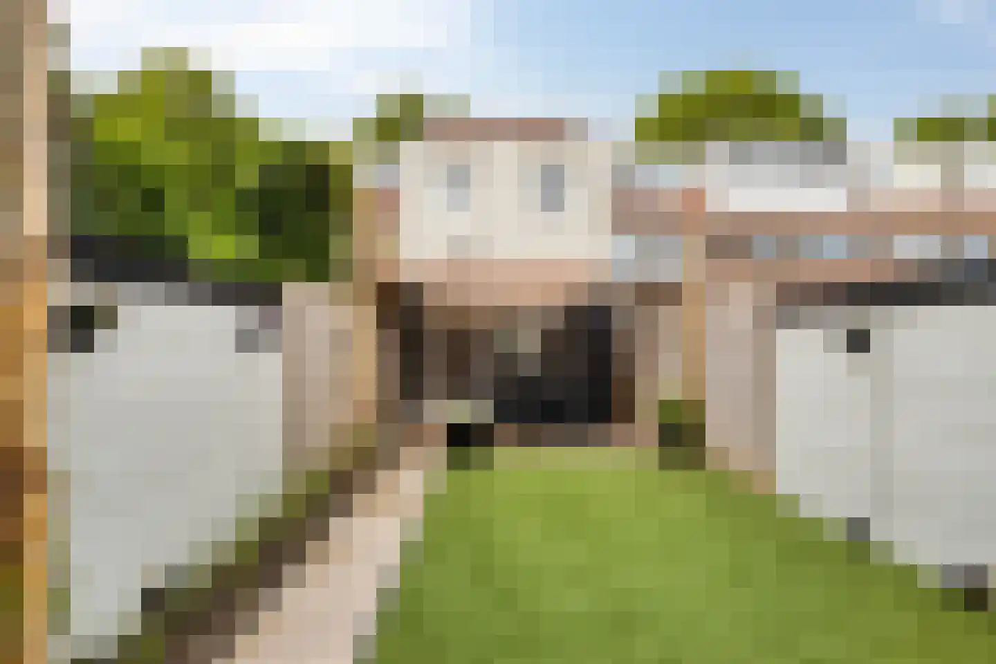 Kotterstraat 36 Tilburg thumbnail 28