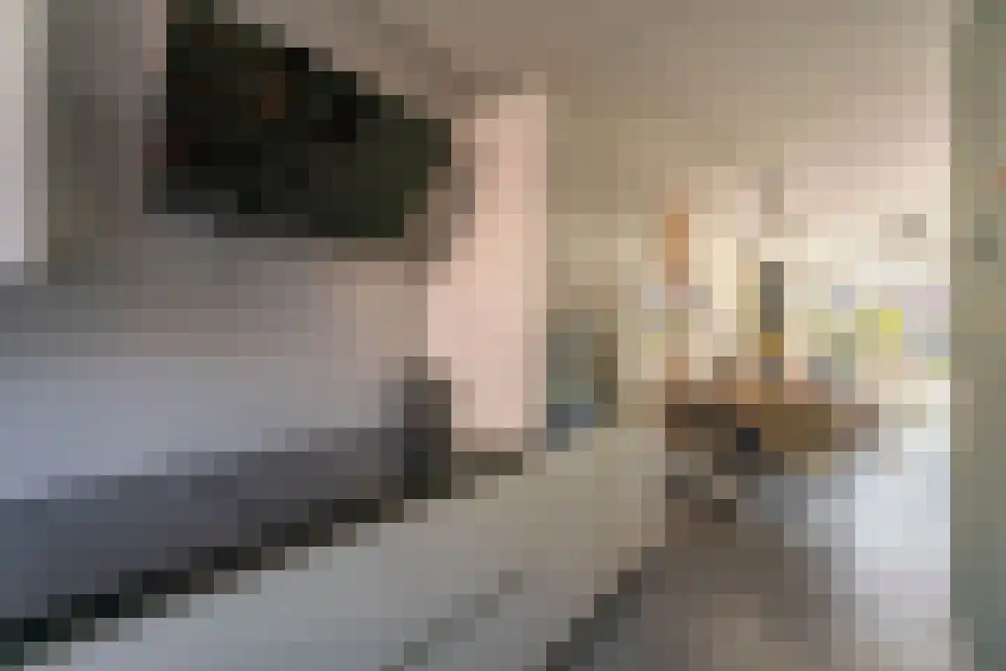 Kotterstraat 4 Katwijk thumbnail 9