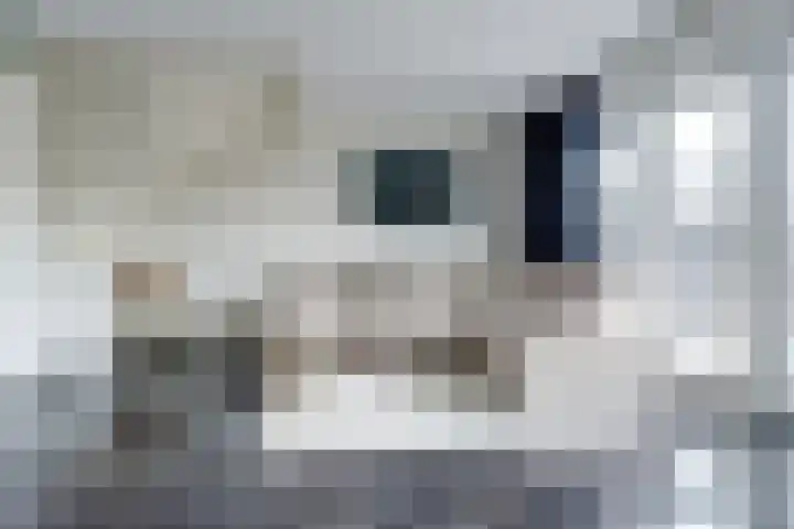 Kotterstraat 71 Tholen thumbnail 5