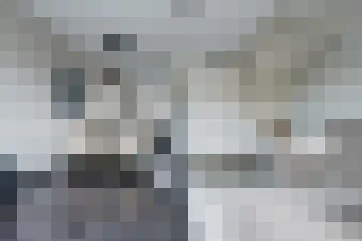 Kotterstraat 71 Tholen thumbnail 7