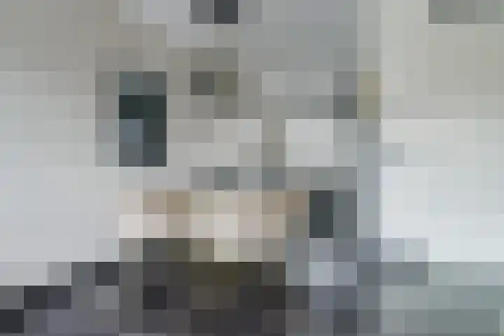 Kotterstraat 71 Tholen thumbnail 8