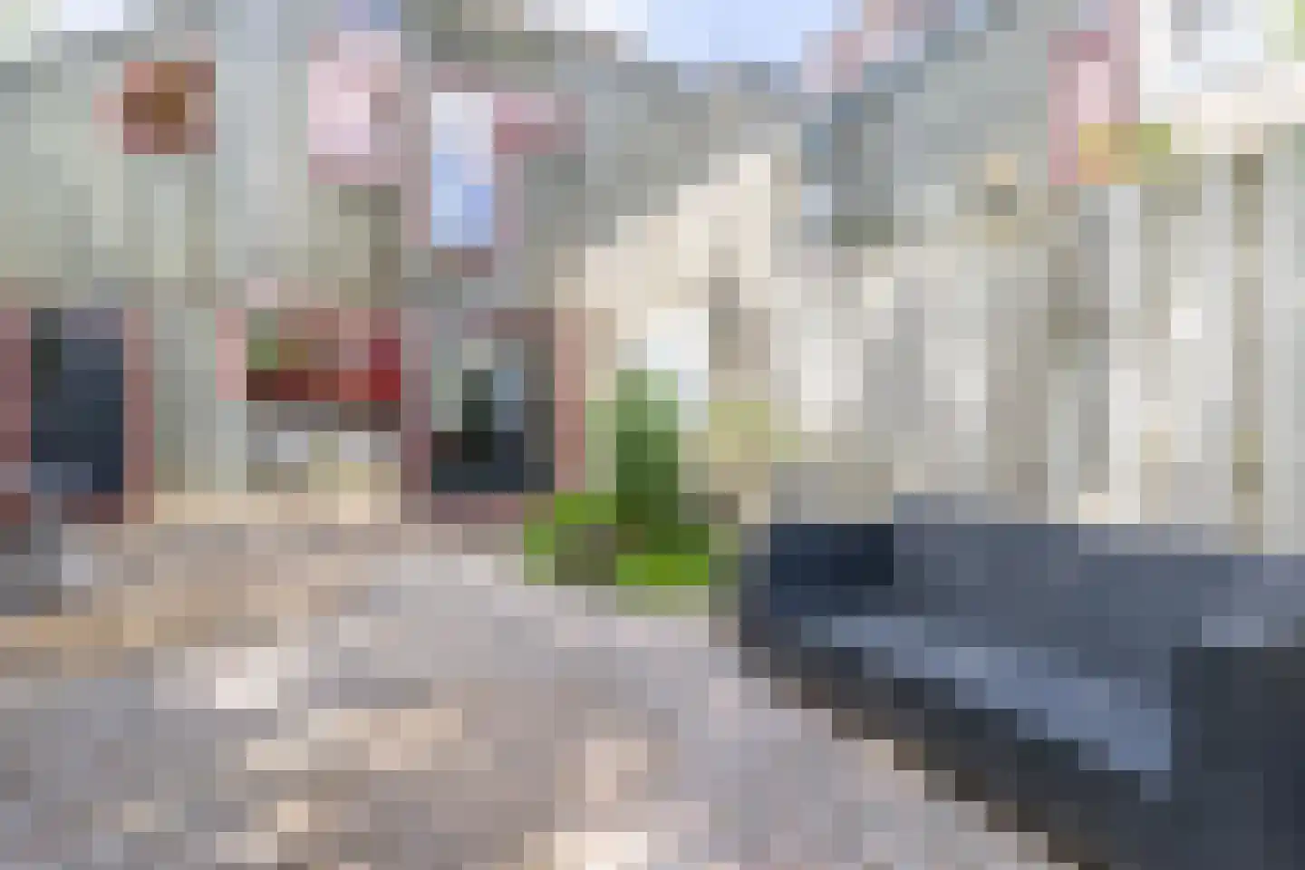 Kotterstraat 8 Alkmaar thumbnail 54