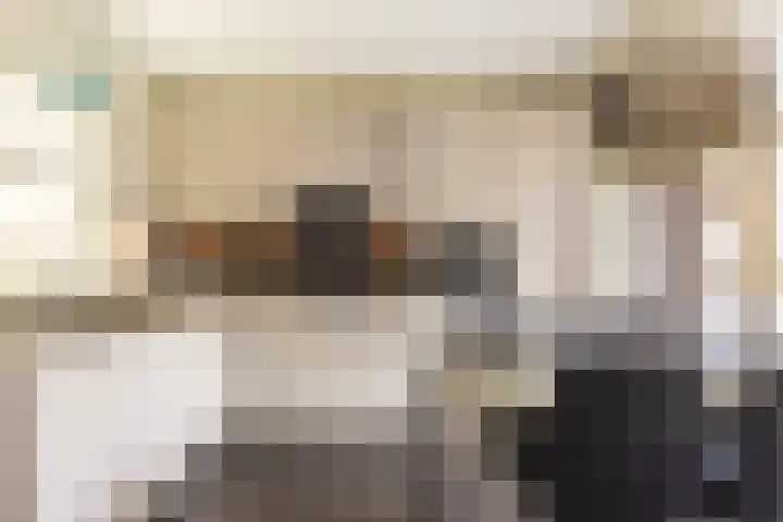 Kottinkkamp 18 Vasse thumbnail 10