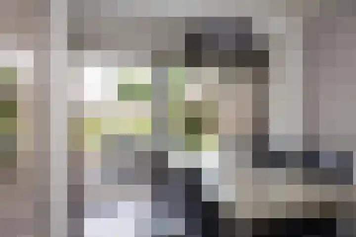 Kottinkkamp 18 Vasse thumbnail 11
