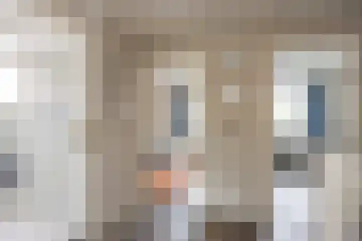 Kottinkkamp 18 Vasse thumbnail 15