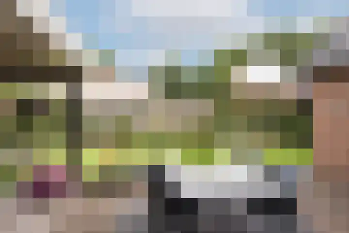 Kottinkkamp 18 Vasse thumbnail 22