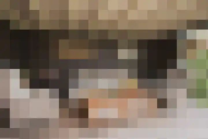 Kottinkkamp 18 Vasse thumbnail 24