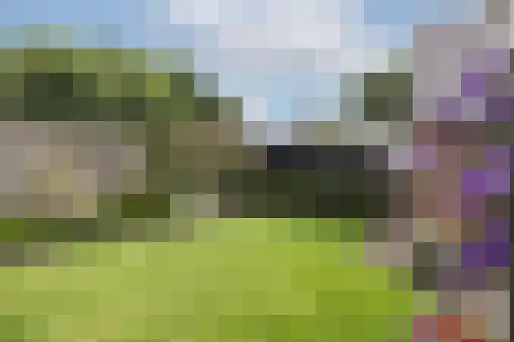 Kottinkkamp 18 Vasse thumbnail 26