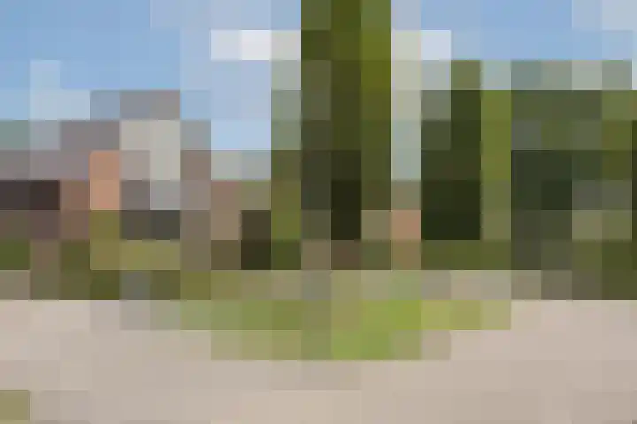 Kottinkkamp 18 Vasse thumbnail 28