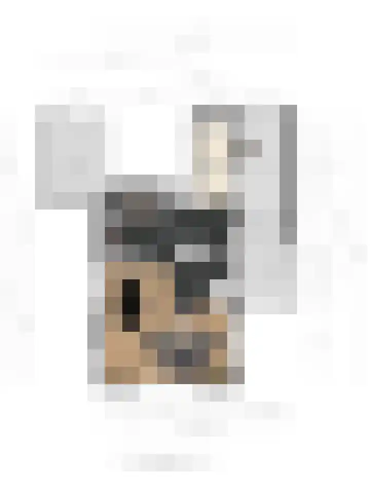 Kottinkkamp 18 Vasse thumbnail 29