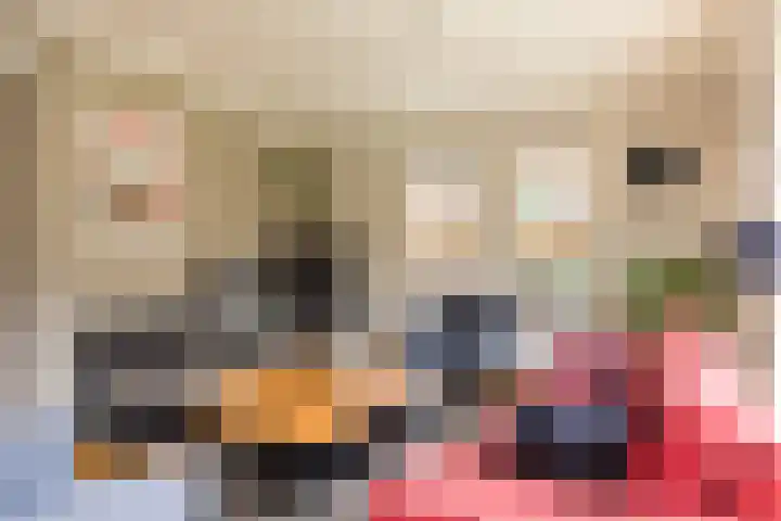 Kottinkkamp 18 Vasse thumbnail 7