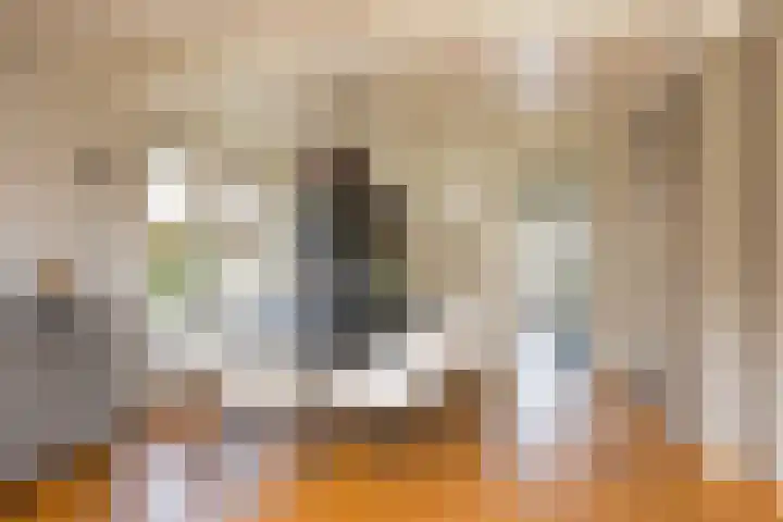 Kottinkkamp 18 Vasse thumbnail 9