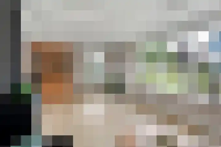 Kottinkkamp 4 Vasse thumbnail 10