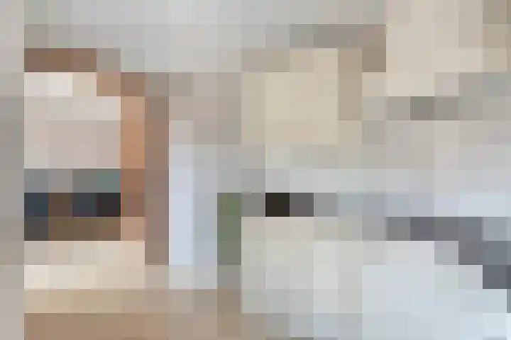 Kottinkkamp 4 Vasse thumbnail 11