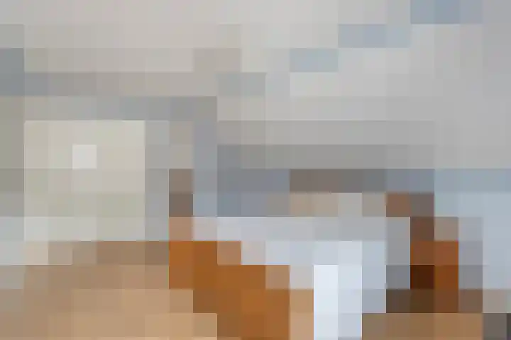 Kottinkkamp 4 Vasse thumbnail 16
