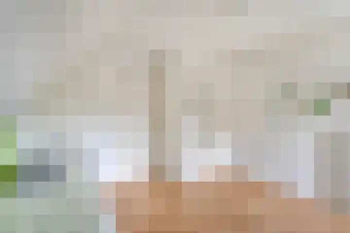 Kottinkkamp 4 Vasse thumbnail 18