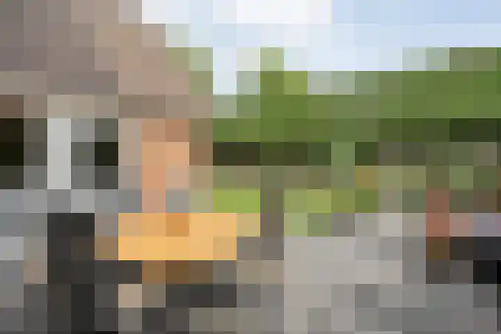 Kottinkkamp 4 Vasse thumbnail 25