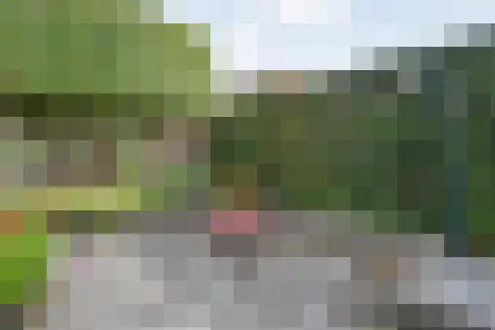 Kottinkkamp 4 Vasse thumbnail 27