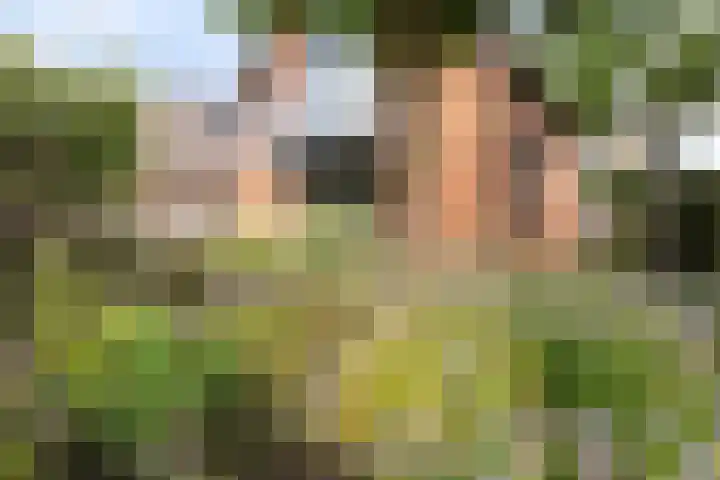Kottinkkamp 4 Vasse thumbnail 28