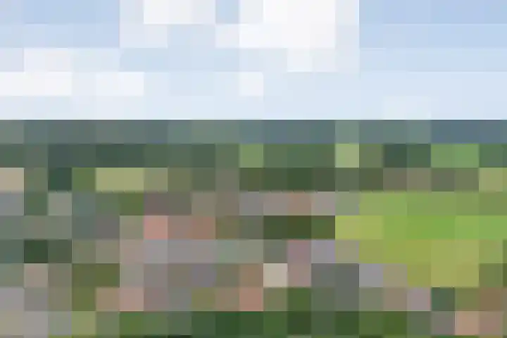 Kottinkkamp 4 Vasse thumbnail 30