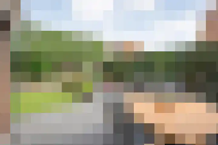 Kottinkkamp 4 Vasse thumbnail 4