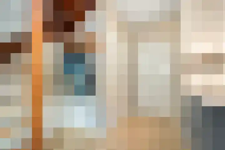 Kottinkkamp 4 Vasse thumbnail 6