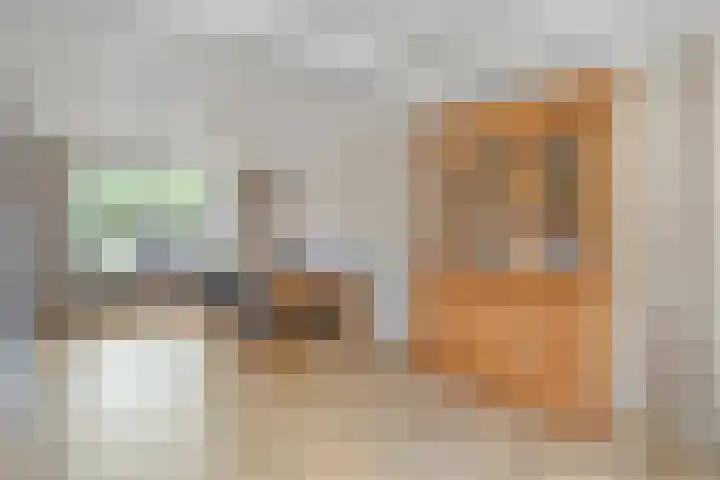 Kottinkkamp 4 Vasse thumbnail 7