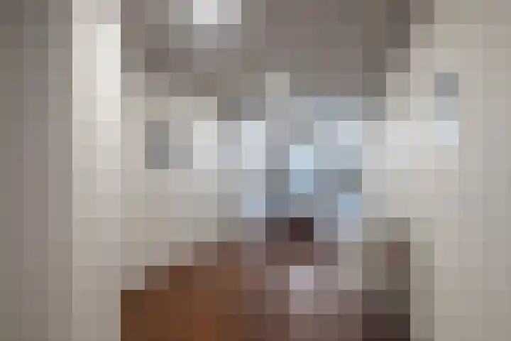 Koude Horn 109 Beverwijk thumbnail 48