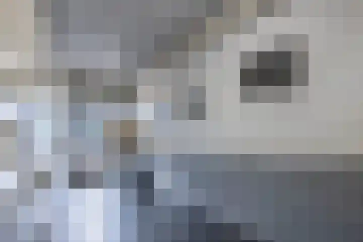 Koude Horn 123 Beverwijk thumbnail 35