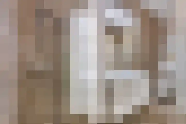 Koude Horn 123 Beverwijk thumbnail 4