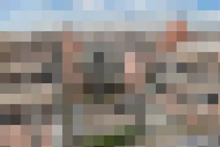 Koude Horn 123 Beverwijk thumbnail 46