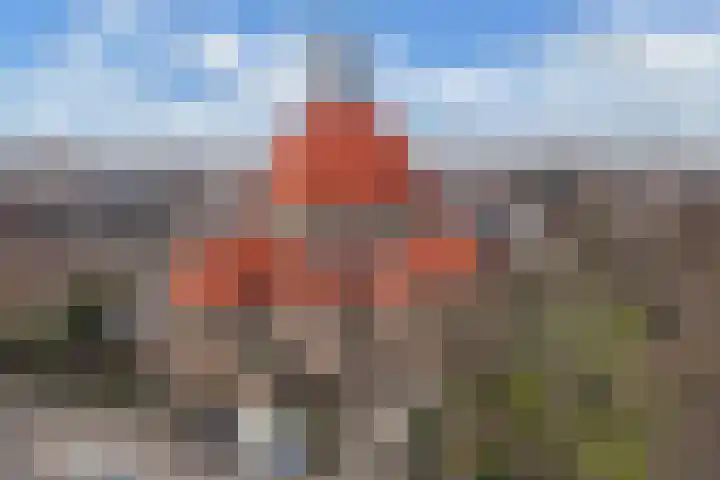 Koude Horn 123 Beverwijk thumbnail 49