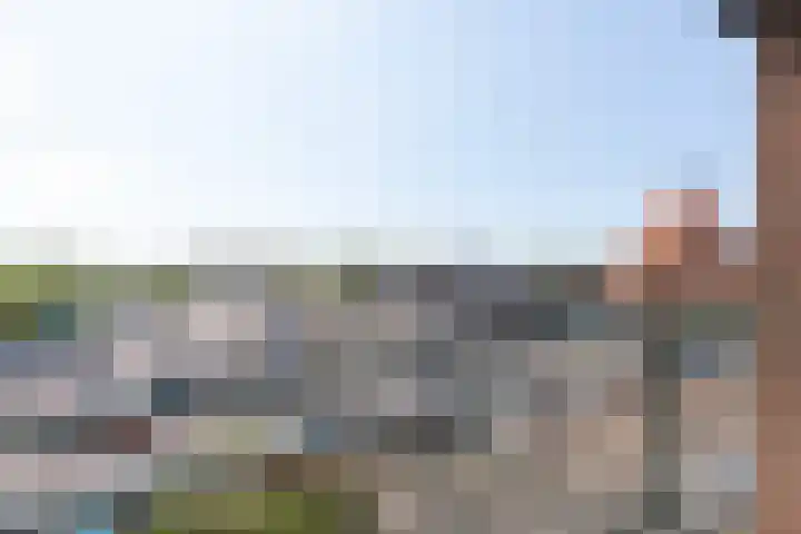Koude Horn 133 Beverwijk thumbnail 23