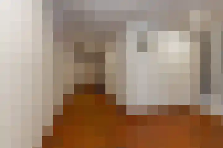 Koude Horn 133 Beverwijk thumbnail 5