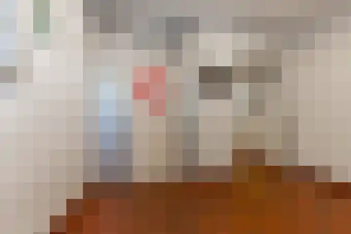 Koude Horn 133 Beverwijk thumbnail 6