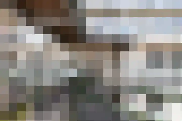 Koude Horn 133 Beverwijk thumbnail 7
