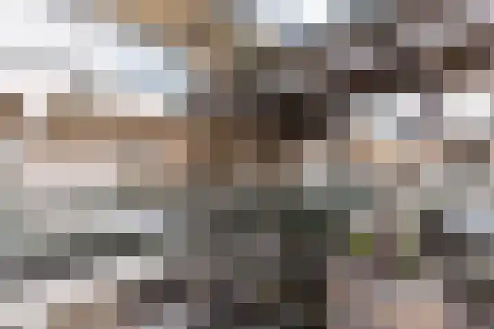 Koude Horn 133 Beverwijk thumbnail 8