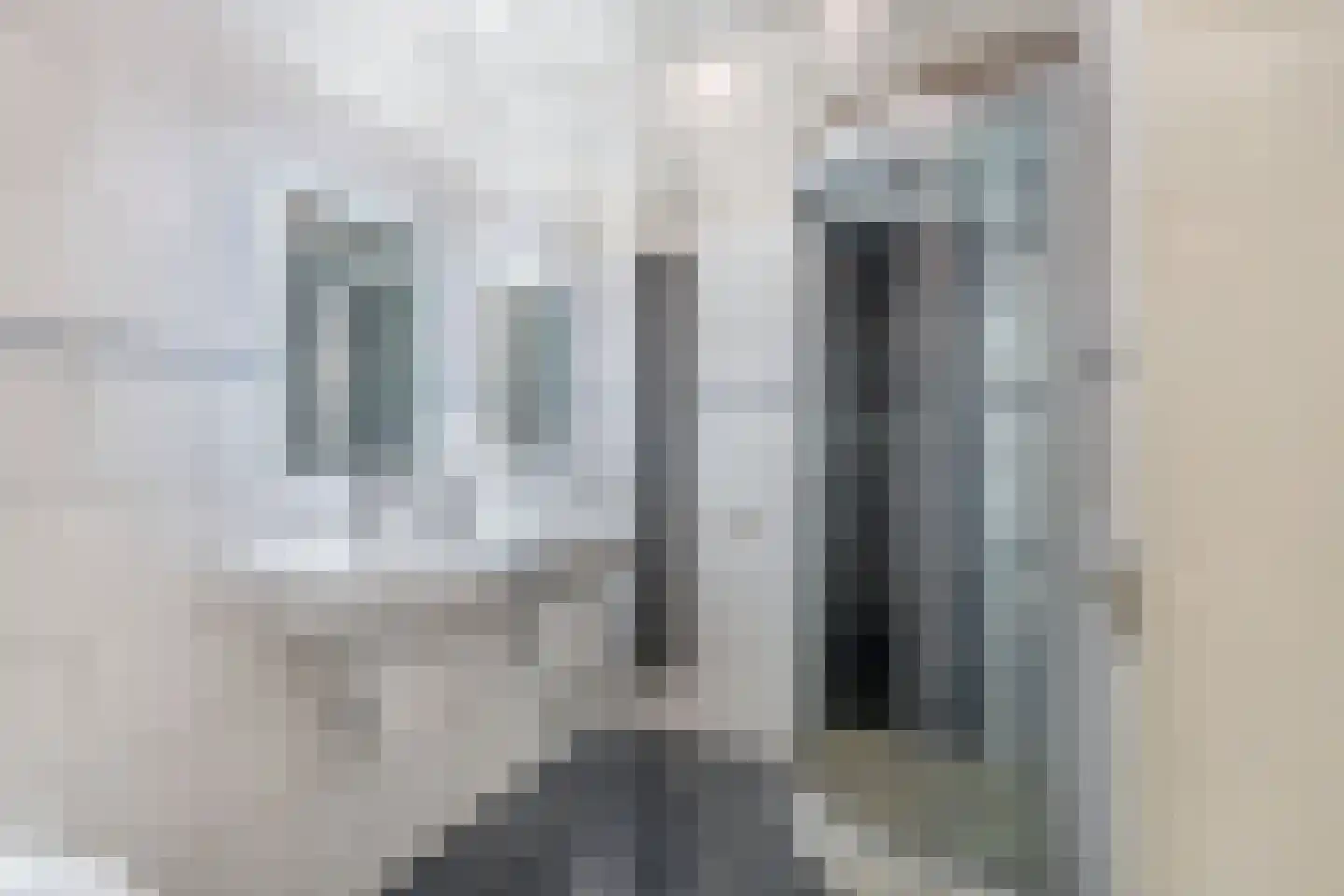 Koude Horn 143 Beverwijk thumbnail 32
