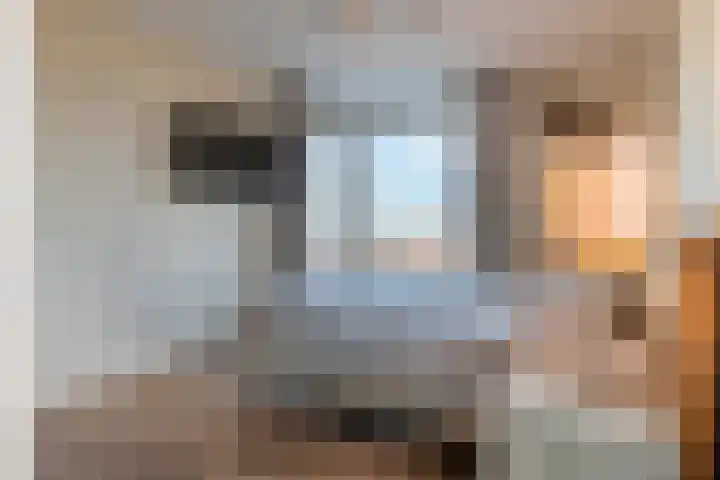Koude Horn 145 Beverwijk thumbnail 20