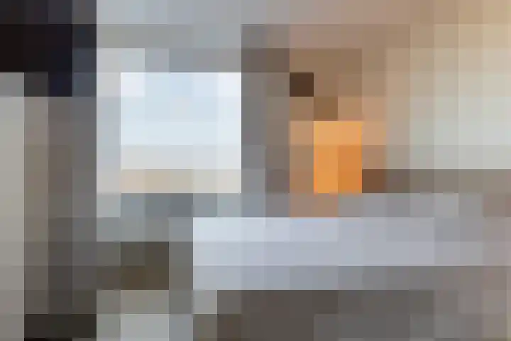 Koude Horn 145 Beverwijk thumbnail 22