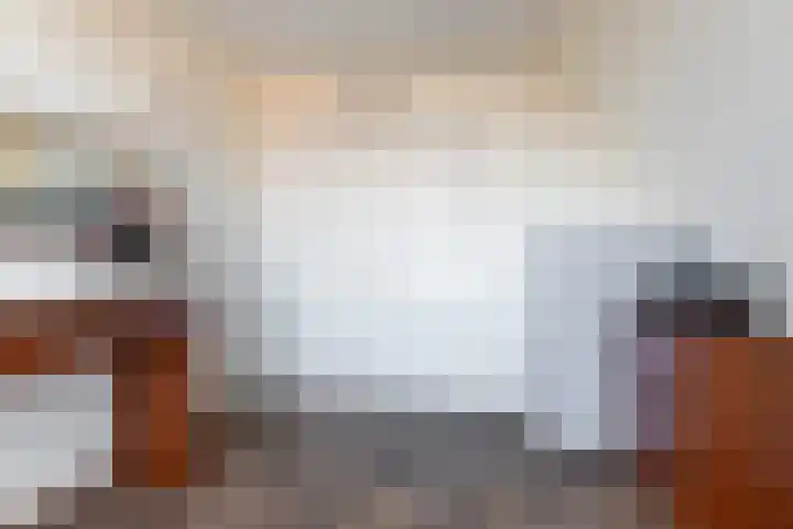 Koude Horn 145 Beverwijk thumbnail 30