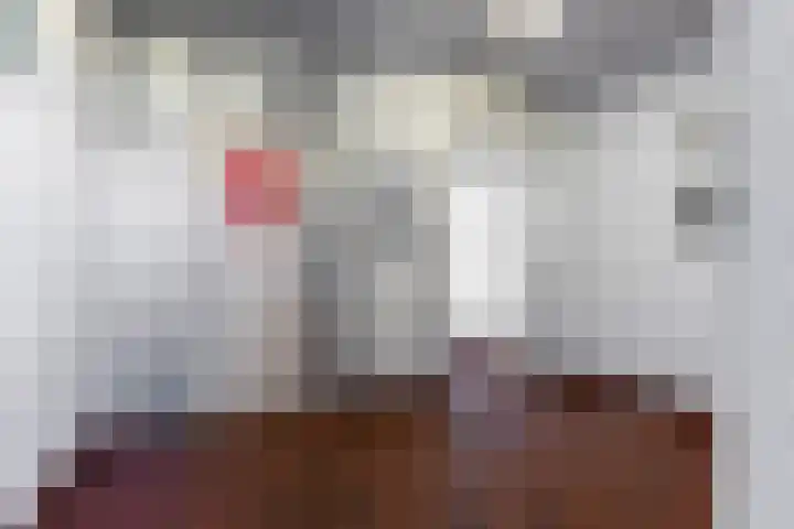 Koude Horn 145 Beverwijk thumbnail 49